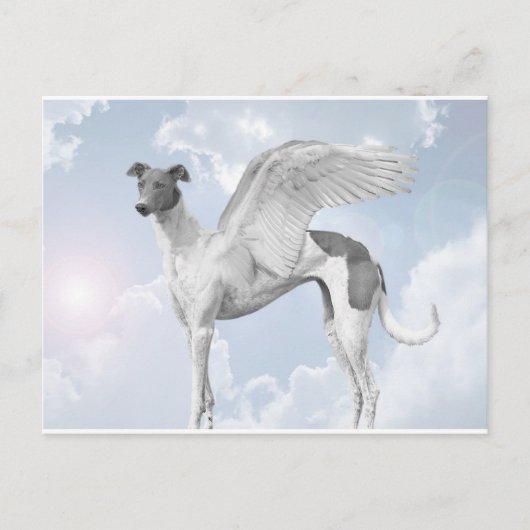 White Angel Greyhound Postkarte (Vorderseite)
