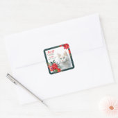 White Angora Cat Poinsettia - Weihnachten Quadratischer Aufkleber (Umschlag)