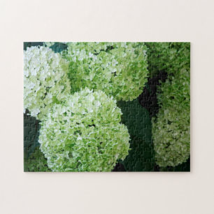 White Annabelle Hydrangeas Puzzle