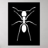 White Ant Poster (Vorne)