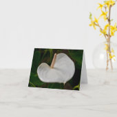 White Anthurium Note Card Karte (Gelbe Blume)