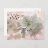 White Apple Blossom Foto Hallo Postkarte (Vorne/Hinten)
