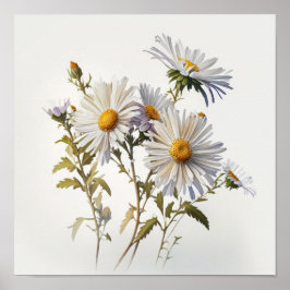 White Aster Blumen Art Print Poster