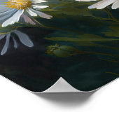 White Aster Blumen Art Print Poster (Ecke)