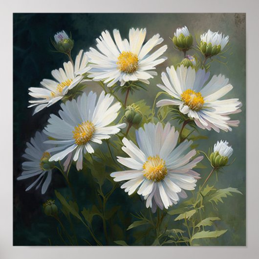 White Aster Blumen Art Print Poster (Vorne)