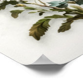 White Aster Blumen Art Print Poster (Ecke)