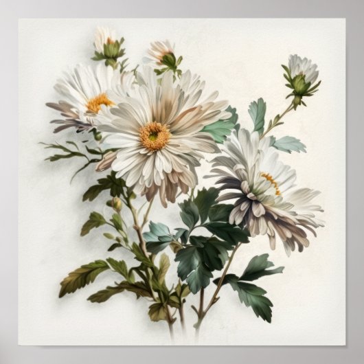 White Aster Blumen Art Print Poster (Vorne)