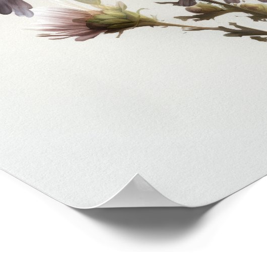 White Aster Blumen Art Print Poster (Ecke)