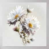White Aster Blumen Art Print Poster (Vorne)