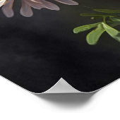 White Aster Blumen Art Print Poster (Ecke)