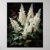 White Astilbe Blume Art Print Poster (Vorne)