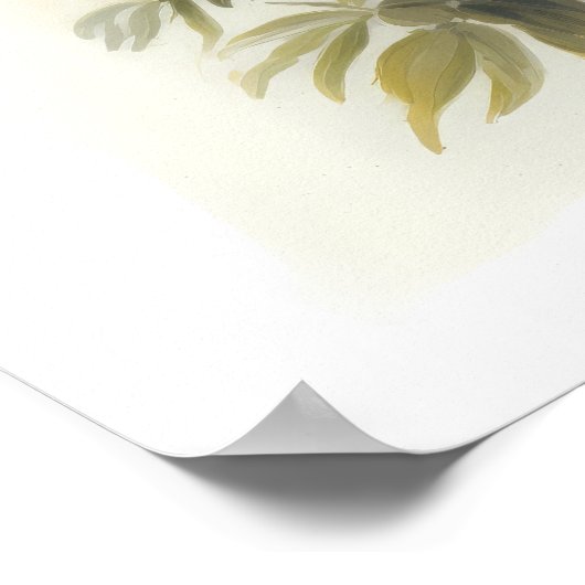 White Astilbe Blumen Art Print Poster (Ecke)