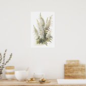 White Astilbe Blumen Art Print Poster (Küche)
