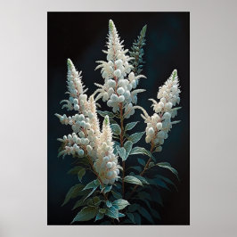 White Astilbe Blumen Art Print Poster