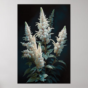 White Astilbe Blumen Art Print Poster