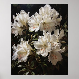 White Azalea Blume Art Print Poster
