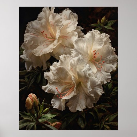 White Azalea Blume Art Print Poster (Vorne)