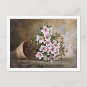 White Azaleas Fine Art Still Life Paul de Longpre Postkarte