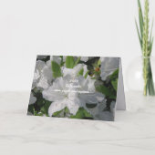 White Azaleas Mütter Day Card Karte (Rückseite)
