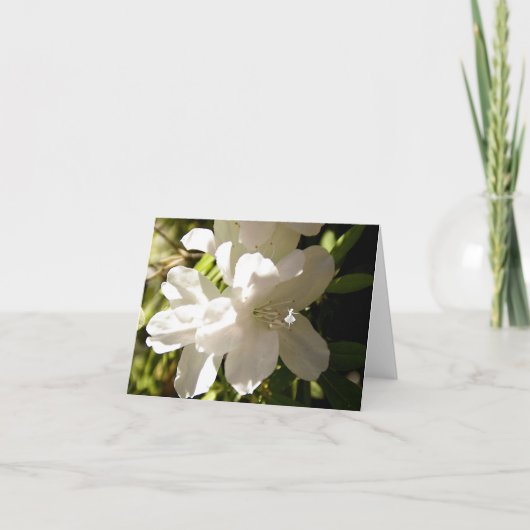 White Azalia Shadow Fairy Karte (Vorderseite)
