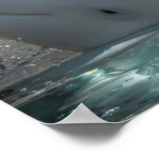 White Baby Beluga Poster (Ecke)