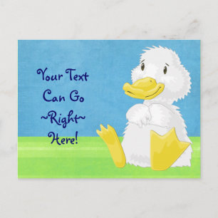 White Baby Duckling Postcard Postkarte