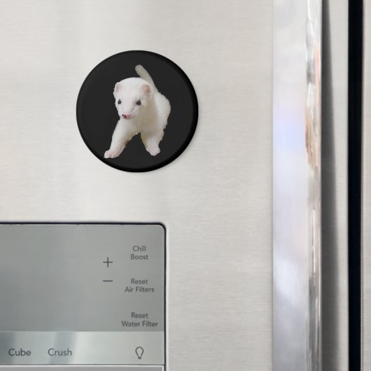 White Baby Ferret Magnet (In Situ (Kühlschrank))