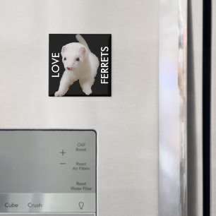 White Baby Ferret Magnet