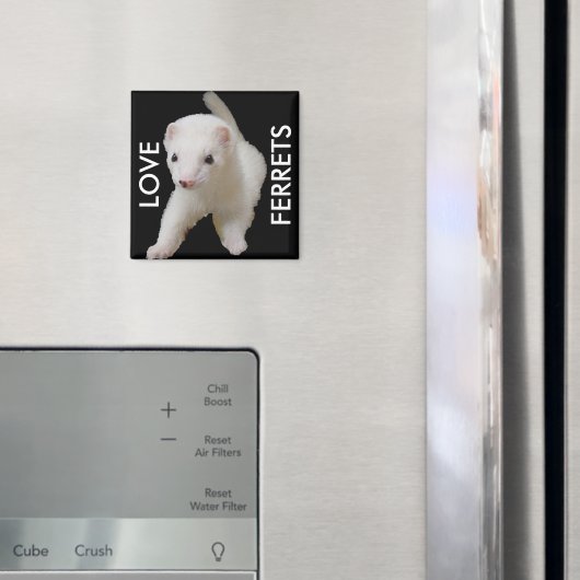 White Baby Ferret Magnet (In Situ (Kühlschrank))