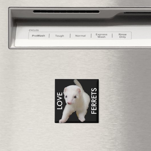 White Baby Ferret Magnet (In Situ (Geschirrspüler))