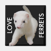White Baby Ferret Magnet (Vorne)