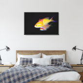 White Bar Anthias Leinwanddruck (Insitu (Schlafzimmer))