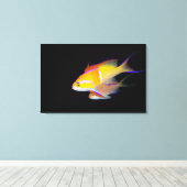 White Bar Anthias Leinwanddruck (Insitu (Holzboden))