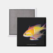 White Bar Anthias Magnet (Vorderseite/Rückseite)