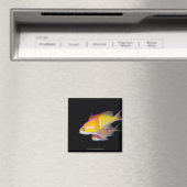 White Bar Anthias Magnet (In Situ (Geschirrspüler))