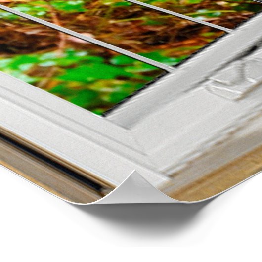 White Bay Window Illusion Forest Path Poster (Ecke)