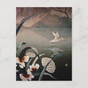 White Bayou in den Abend Blume Postkarte