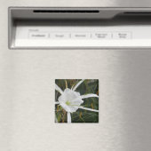 White Beach Spider Lilies Blume Foto Magnet (In Situ (Geschirrspüler))