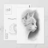 White Beautiful Kitten 2 Postkarte (Vorne/Hinten)