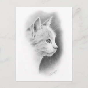 White Beautiful Kitten 2 Postkarte