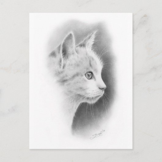 White Beautiful Kitten 2 Postkarte (Vorderseite)