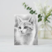 White Beautiful Kitten Postcard Postkarte (Stehend Vorderseite)