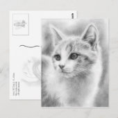 White Beautiful Kitten Postcard Postkarte (Vorne/Hinten)