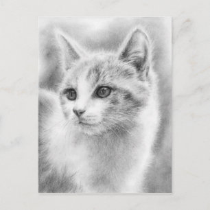 White Beautiful Kitten Postcard Postkarte