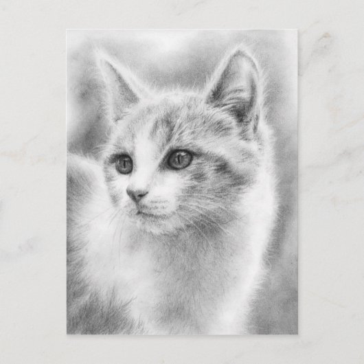 White Beautiful Kitten Postcard Postkarte (Vorderseite)