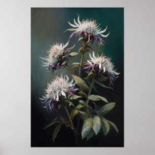 White Bee Balm Blume Art Print Poster