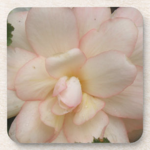 White Begonia Blume Cork Untersetzer