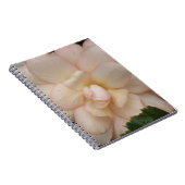 White Begonia Blume Notebook Notizblock (Rechte Seite)