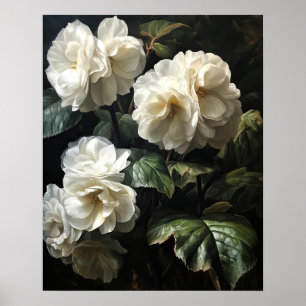 White Begonia Blumen Art Print Poster