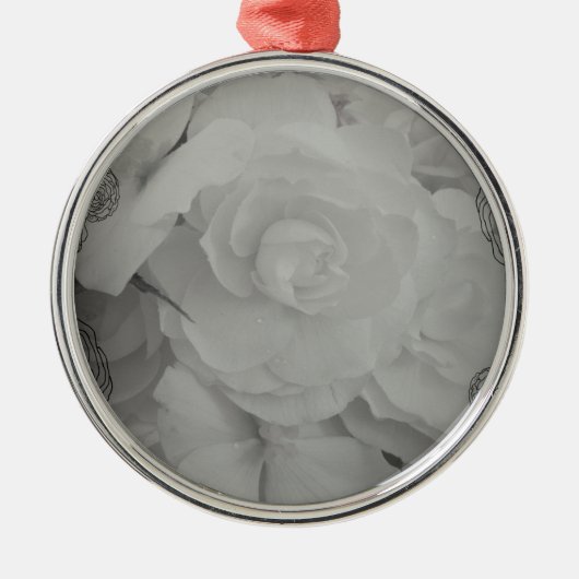 White Begonia Ornament (Vorne)
